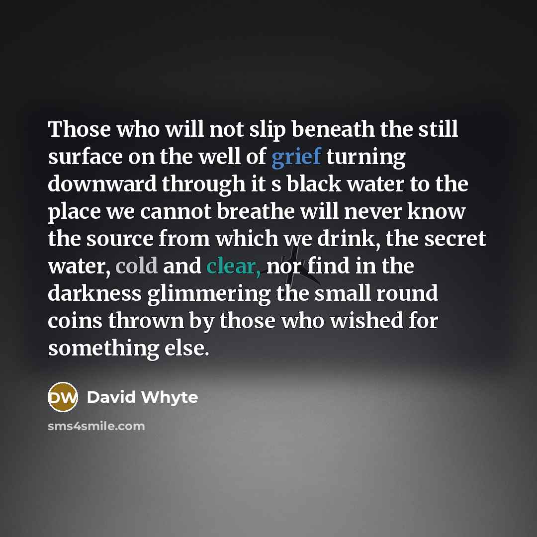 “Those who will not slip beneath the still surface on the well of grief turning downward through it s black water to the place we cannot breathe will never know the source from which we drink, the secret water, cold and clear, nor find in the darkness glimmering the small round coins thrown by…” quote by David Whyte