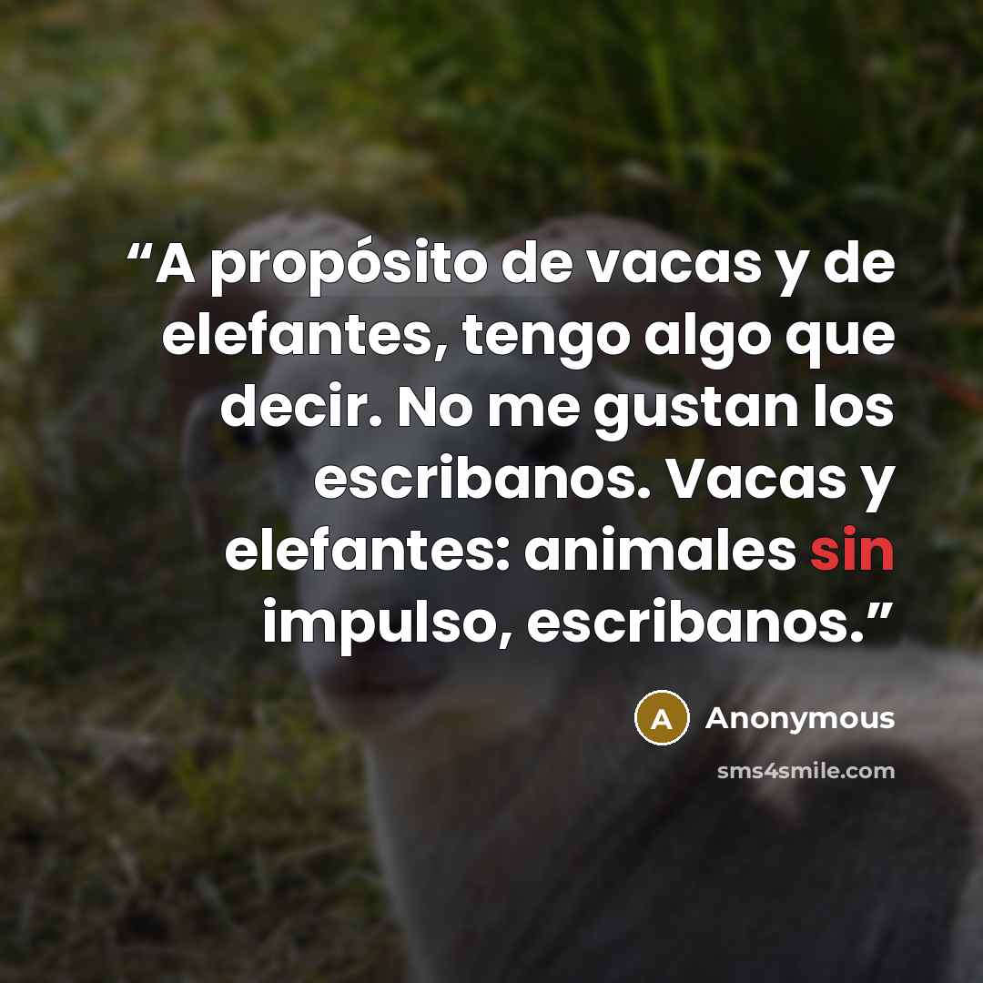 “A propósito de vacas y de elefantes, tengo algo que decir. No me gustan los escribanos. Vacas y elefantes: animales sin impulso, escribanos.” quote by Anonymous