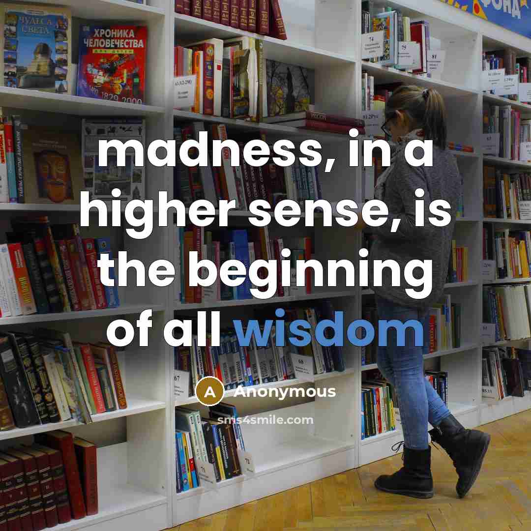 “madness, in a higher sense, is the beginning of all wisdom” quote by Anonymous