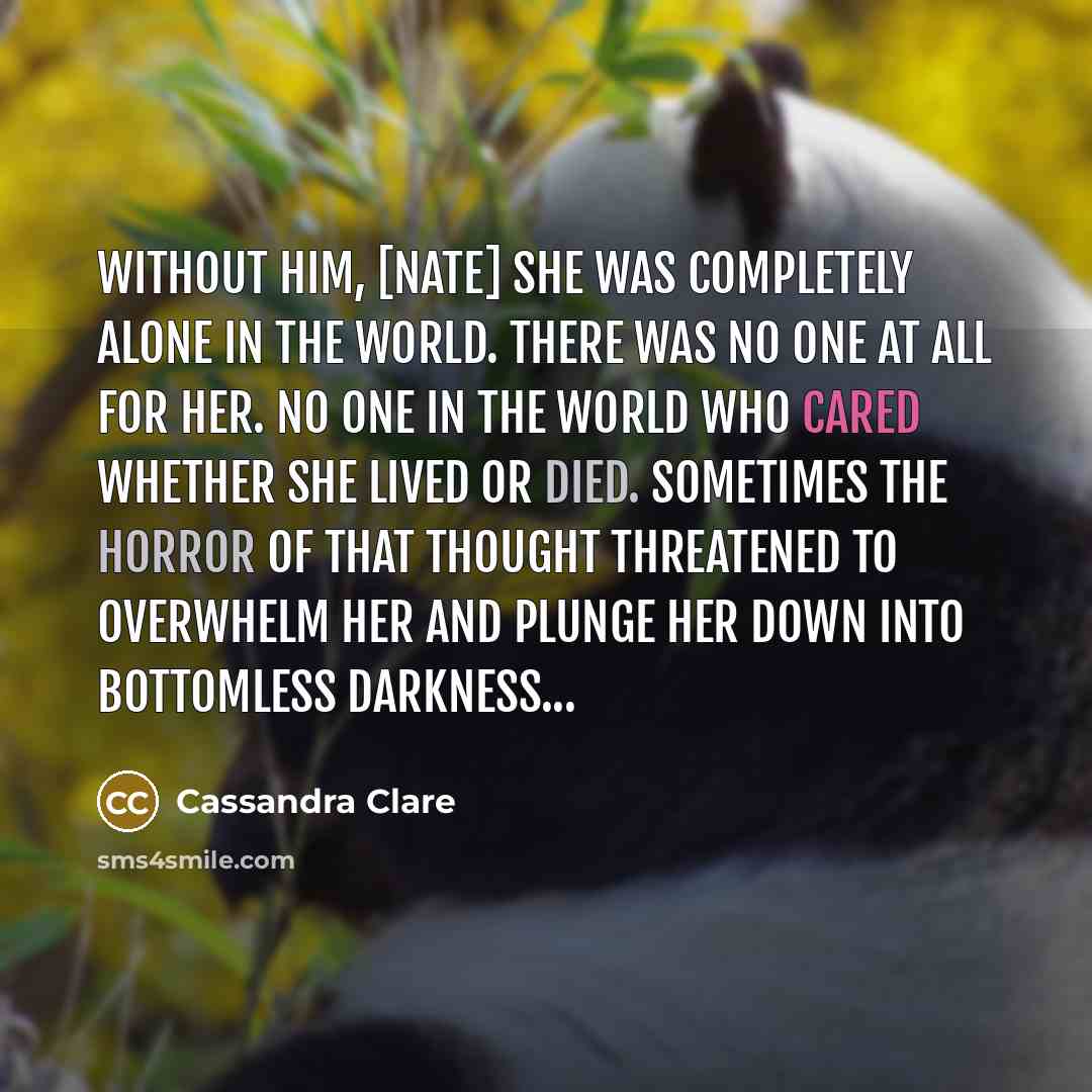 “Without him, [Nate] she was completely alone in the world. There was no one at all for her. No one in the world who cared whether she lived or died. Sometimes the horror of that thought threatened to overwhelm her and plunge her down into bottomless darkness...” quote by Cassandra Clare