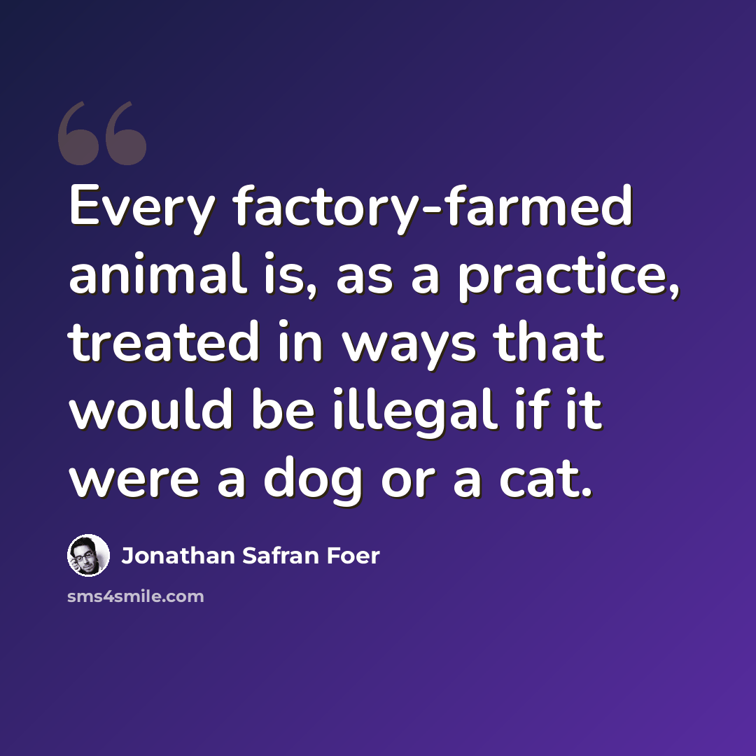 “Every factory-farmed animal is, as a practice, treated in ways that would be illegal if it were a dog or a cat.” quote by Jonathan Safran Foer
