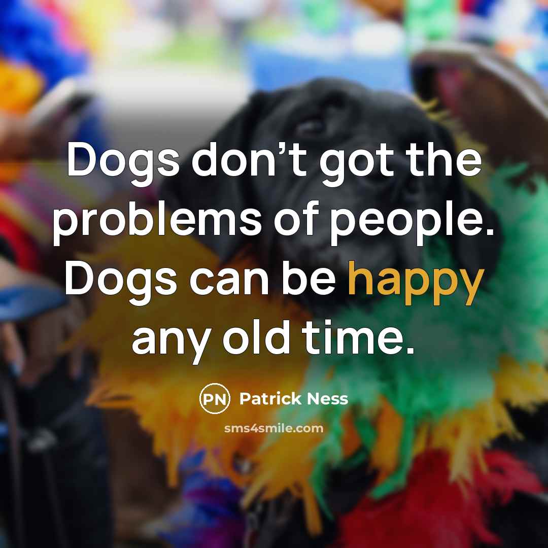 “Dogs don't got the problems of people. Dogs can be happy any old time.” quote by Patrick Ness