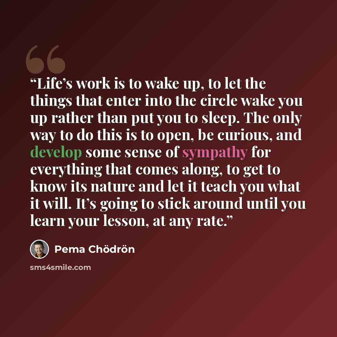 “Life’s work is to wake up, to let the things that enter into the circle wake you up rather than put you to sleep. The only way to do this is to open, be curious, and develop some sense of sympathy for everything that comes along, to get to know its nature and let it teach you what it will. It’s…” quote by Pema Chödrön