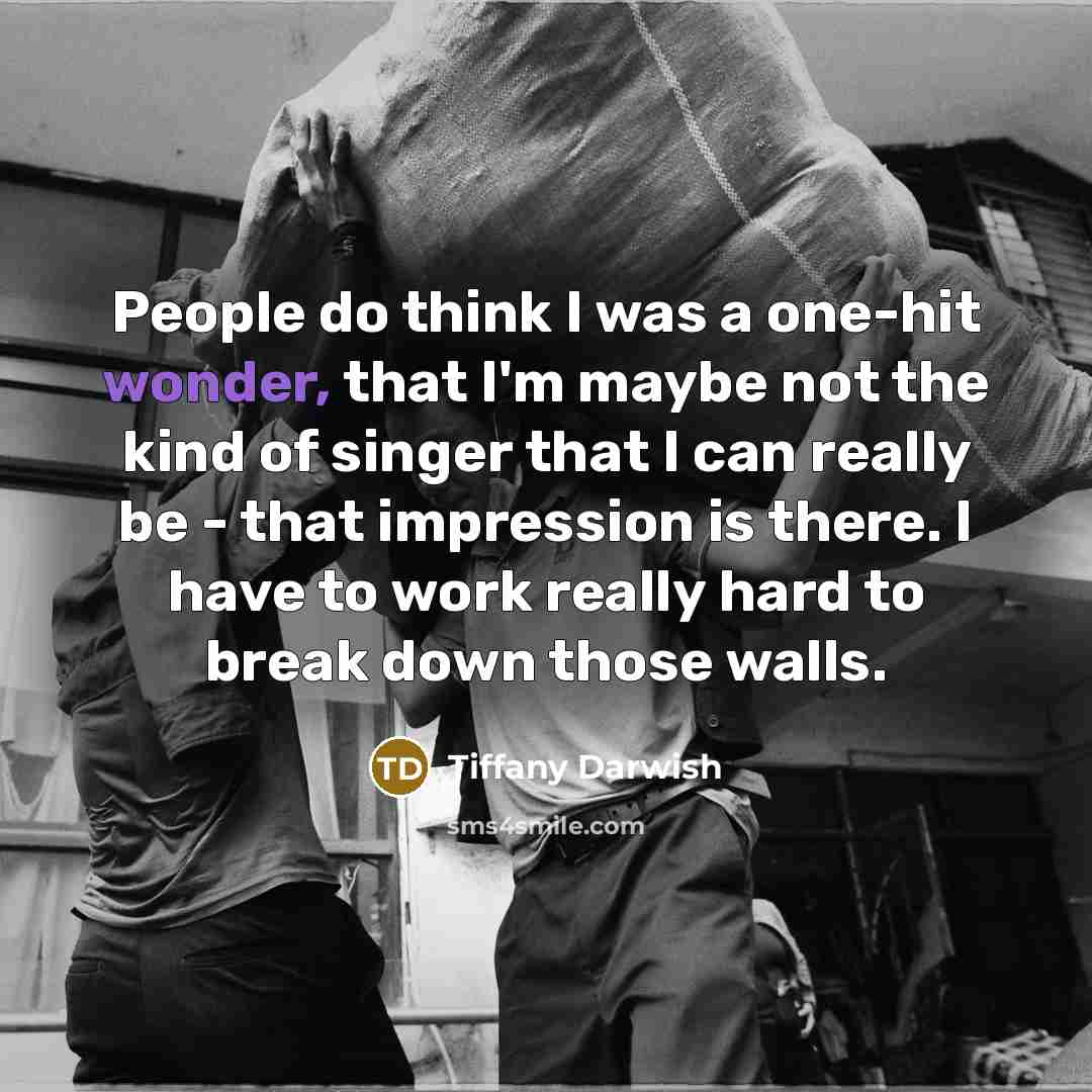 “People do think I was a one-hit wonder, that I'm maybe not the kind of singer that I can really be - that impression is there. I have to work really hard to break down those walls.” quote by Tiffany Darwish