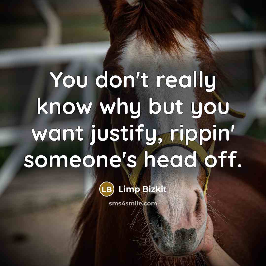 “You don't really know why but you want justify, rippin' someone's head off.” quote by Limp Bizkit