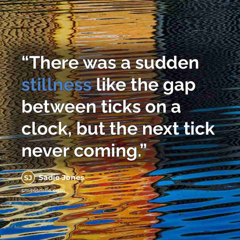 “There was a sudden stillness like the gap between ticks on a clock, but the next tick never coming.” quote by Sadie Jones