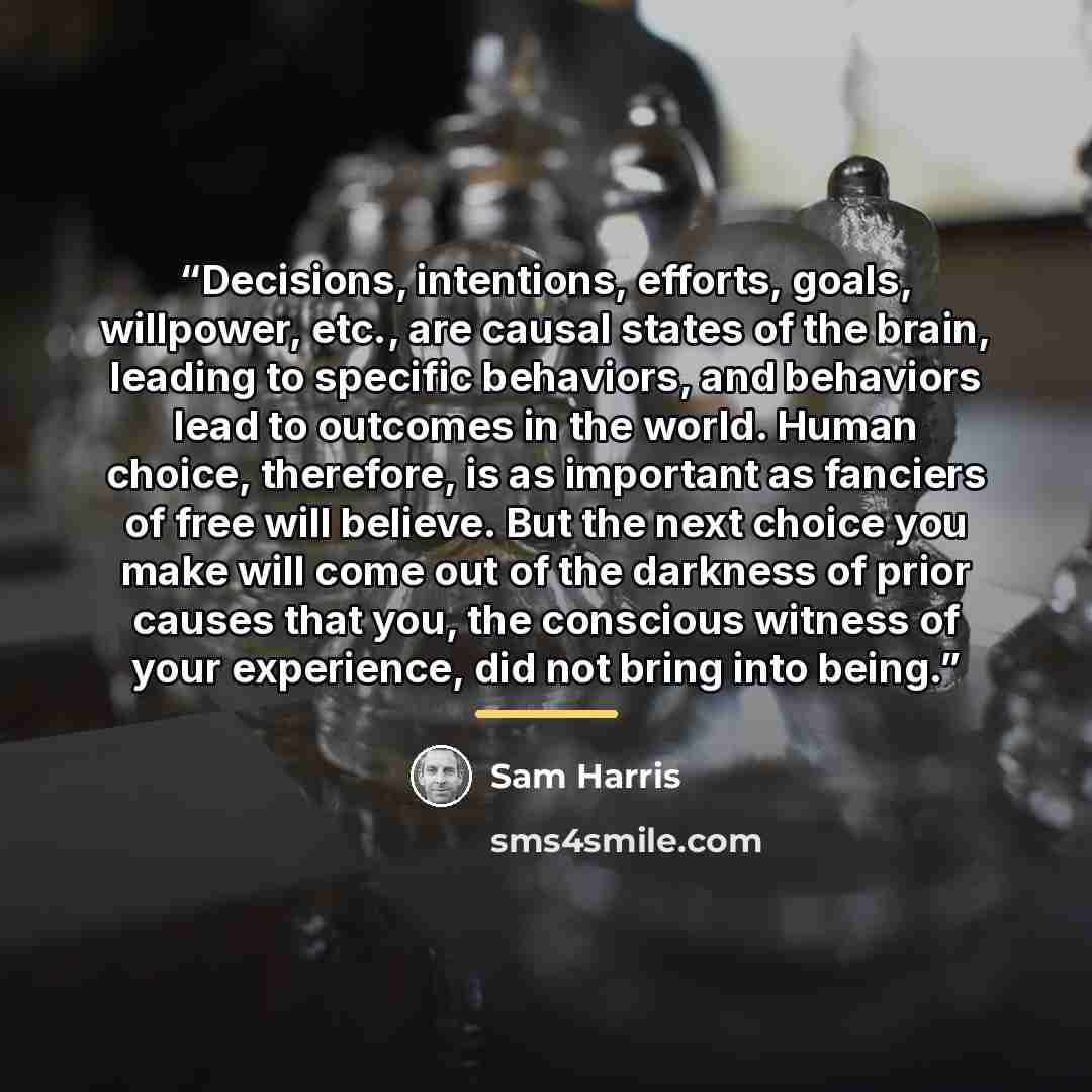 “Decisions, intentions, efforts, goals, willpower, etc., are causal states of the brain, leading to specific behaviors, and behaviors lead to outcomes in the world. Human choice, therefore, is as important as fanciers of free will believe. But the next choice you make will come out of the darkness…” quote by Sam Harris