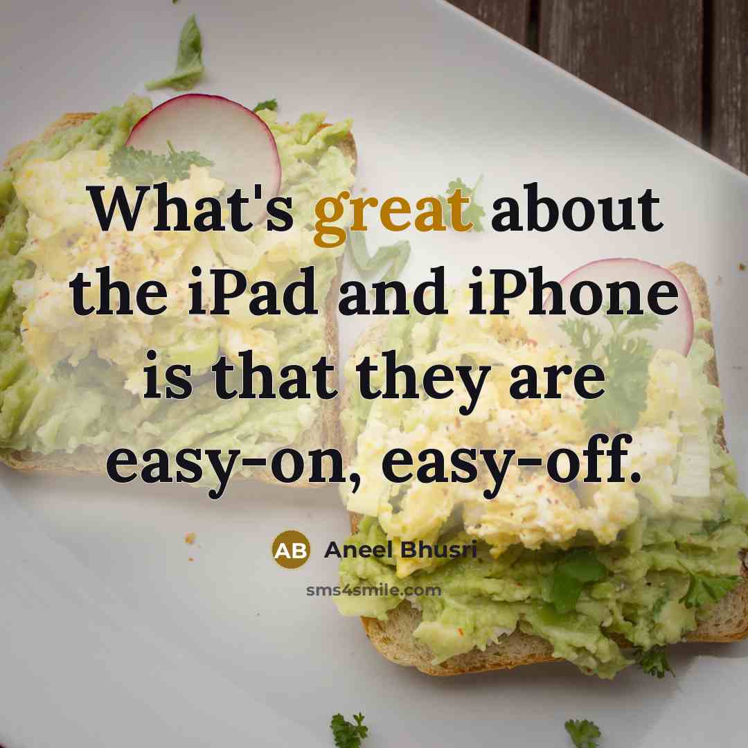 “What's great about the iPad and iPhone is that they are easy-on, easy-off.” quote by Aneel Bhusri