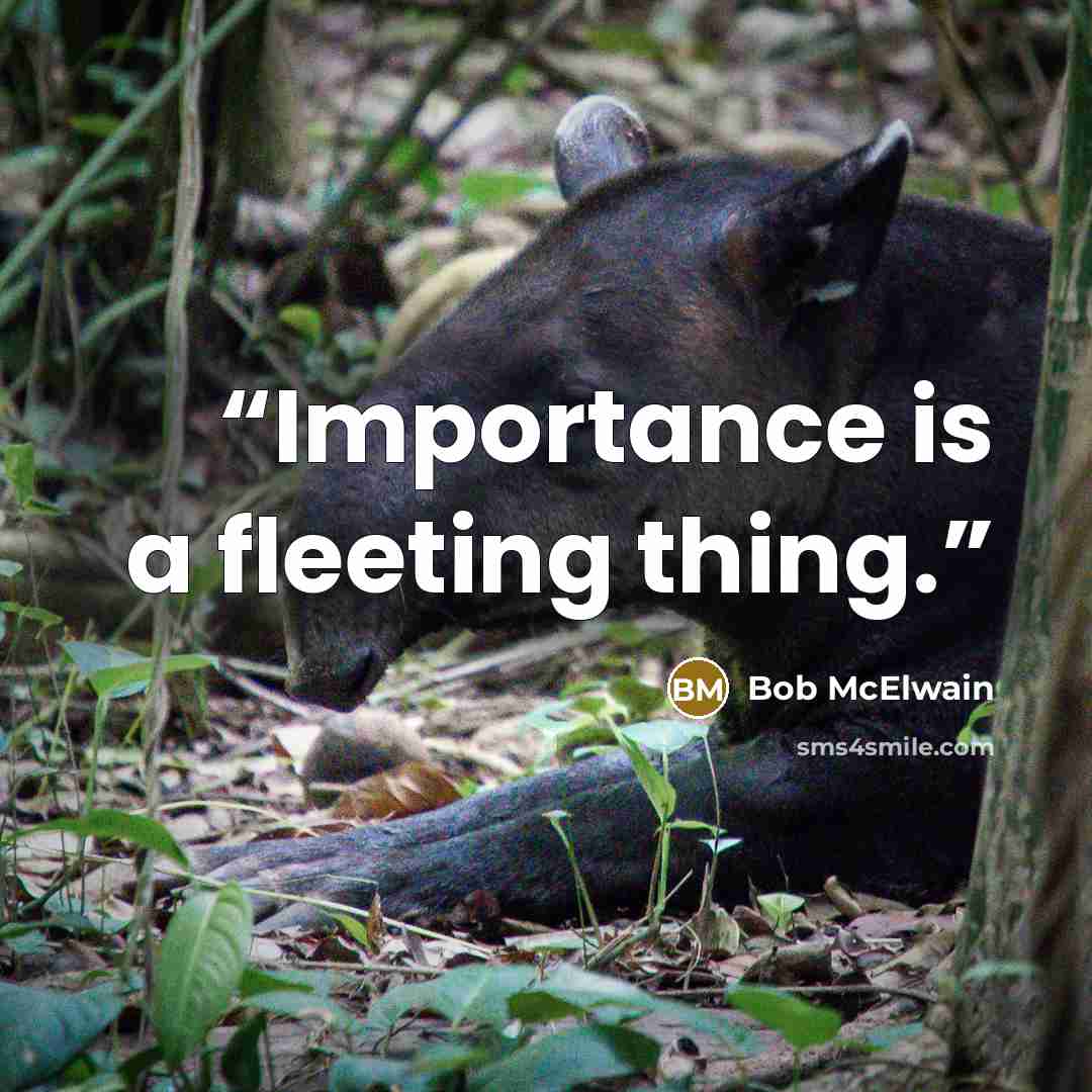 “Importance is a fleeting thing.” quote by Bob McElwain
