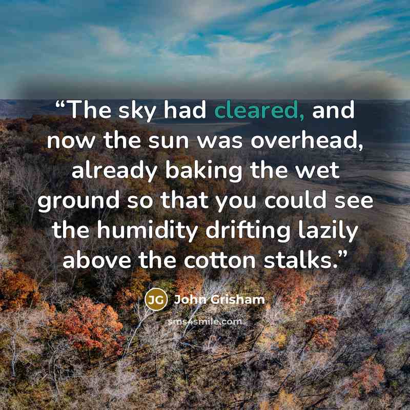 “The sky had cleared, and now the sun was overhead, already baking the wet ground so that you could see the humidity drifting lazily above the cotton stalks.” quote by John Grisham