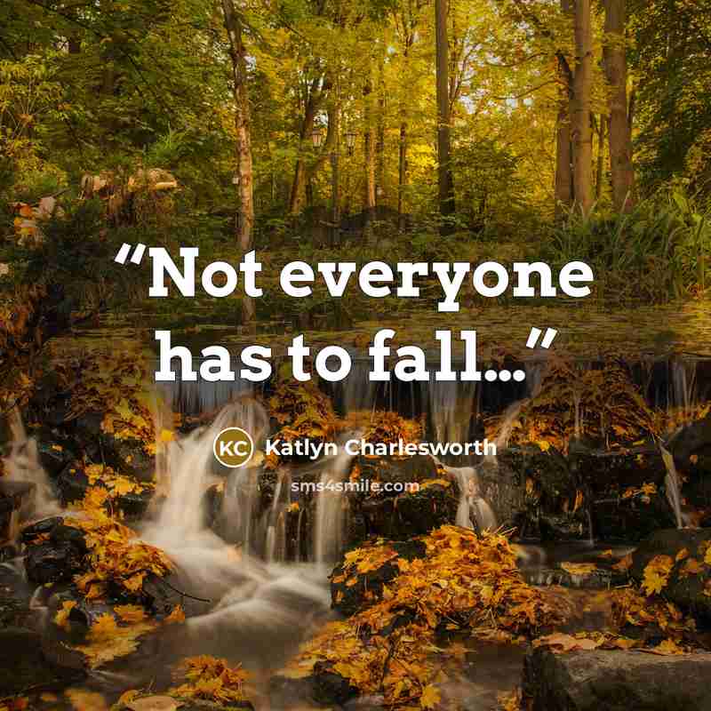 “Not everyone has to fall…” quote by Katlyn Charlesworth