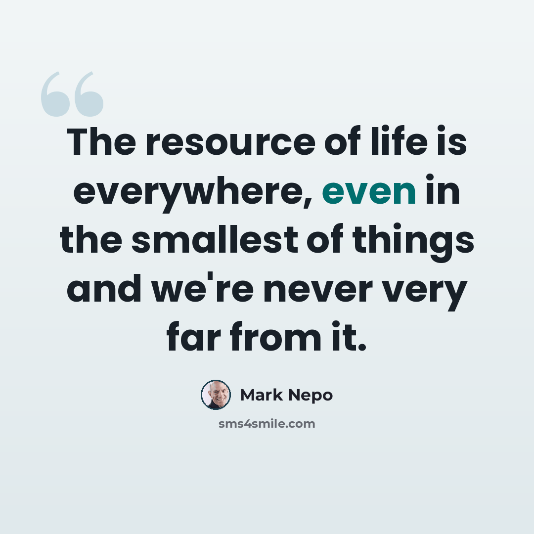 “The resource of life is everywhere, even in the smallest of things and we're never very far from it.” quote by Mark Nepo