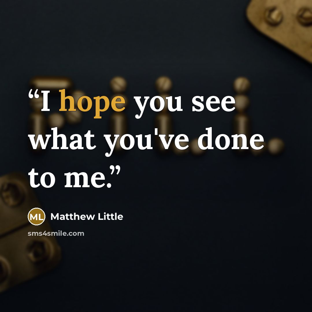 “I hope you see what you've done to me.” quote by Matthew Little