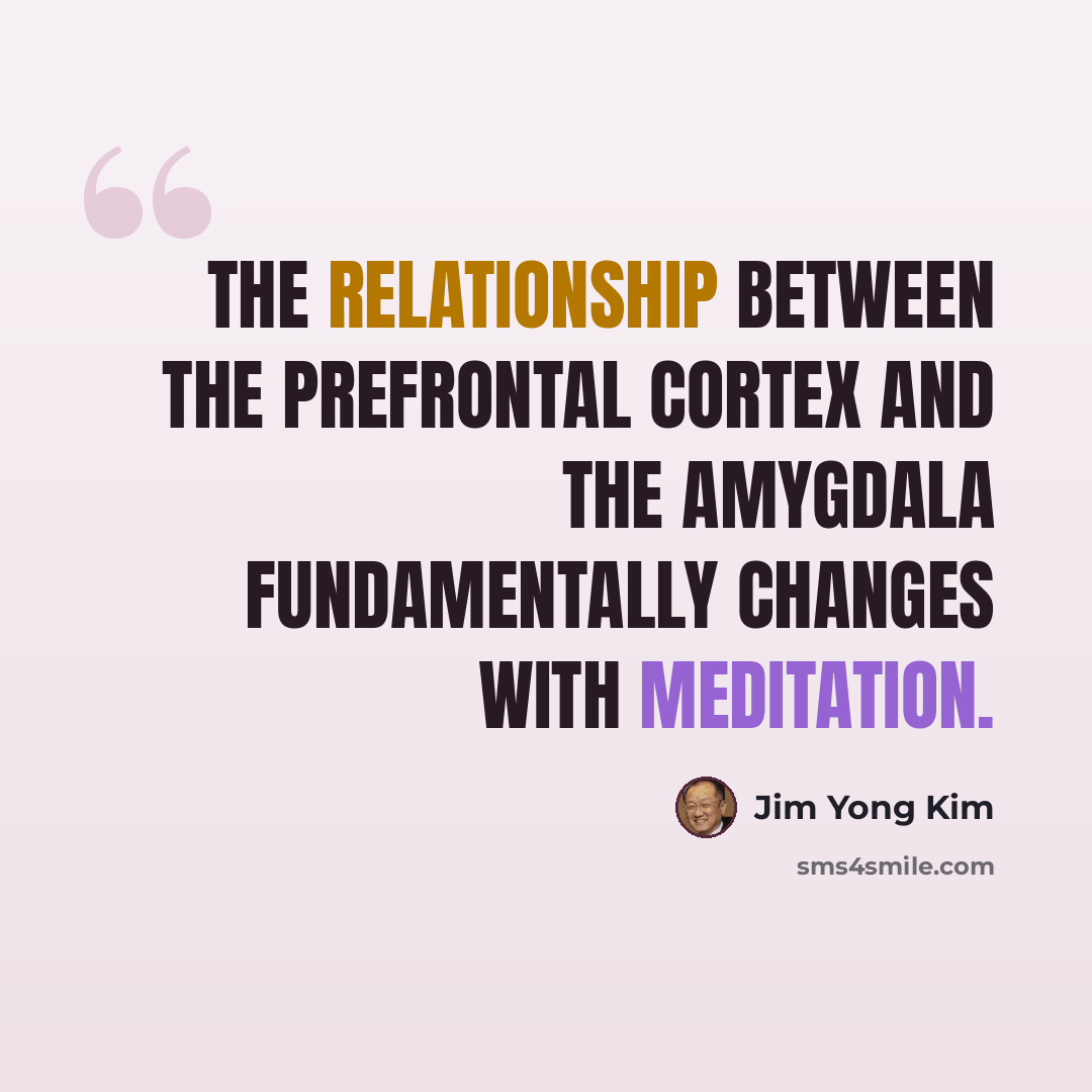 “The relationship between the prefrontal cortex and the amygdala fundamentally changes with meditation.” quote by Jim Yong Kim