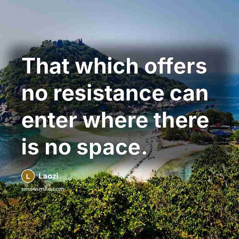 “That which offers no resistance can enter where there is no space.” quote by Laozi