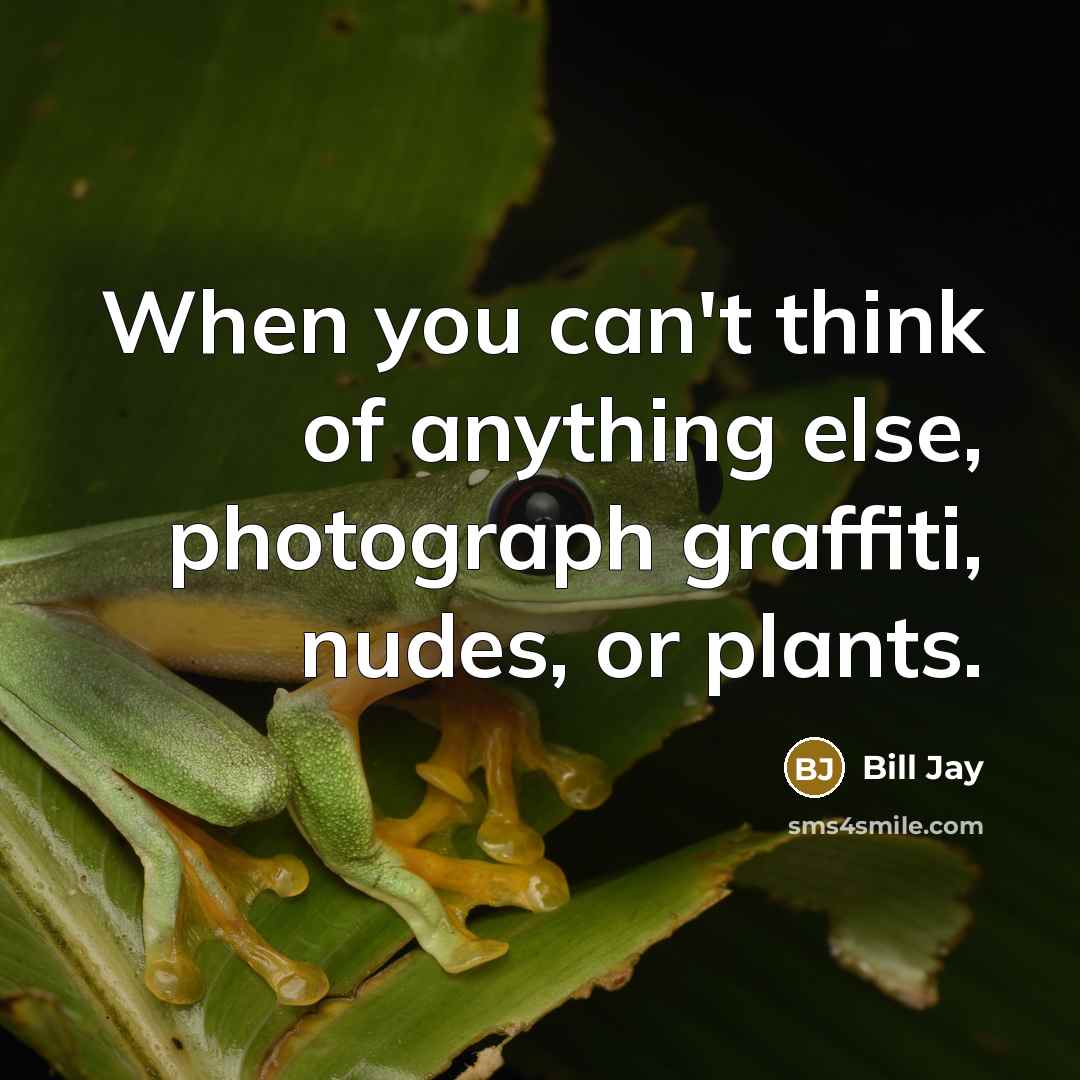 “When you can't think of anything else, photograph graffiti, nudes, or plants.” quote by Bill Jay