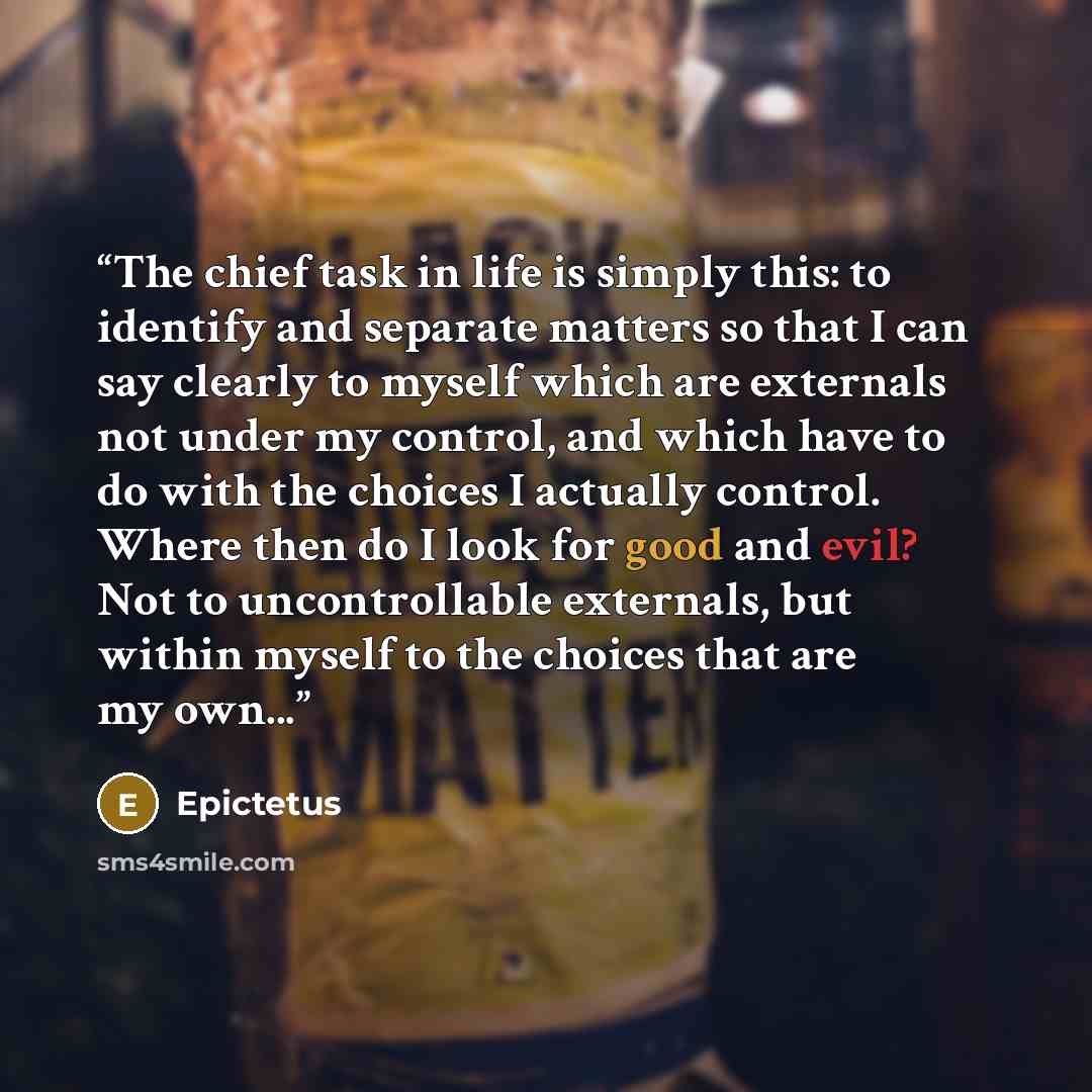 “The chief task in life is simply this: to identify and separate matters so that I can say clearly to myself which are externals not under my control, and which have to do with the choices I actually control. Where then do I look for good and evil? Not to uncontrollable externals, but within myself…” quote by Epictetus