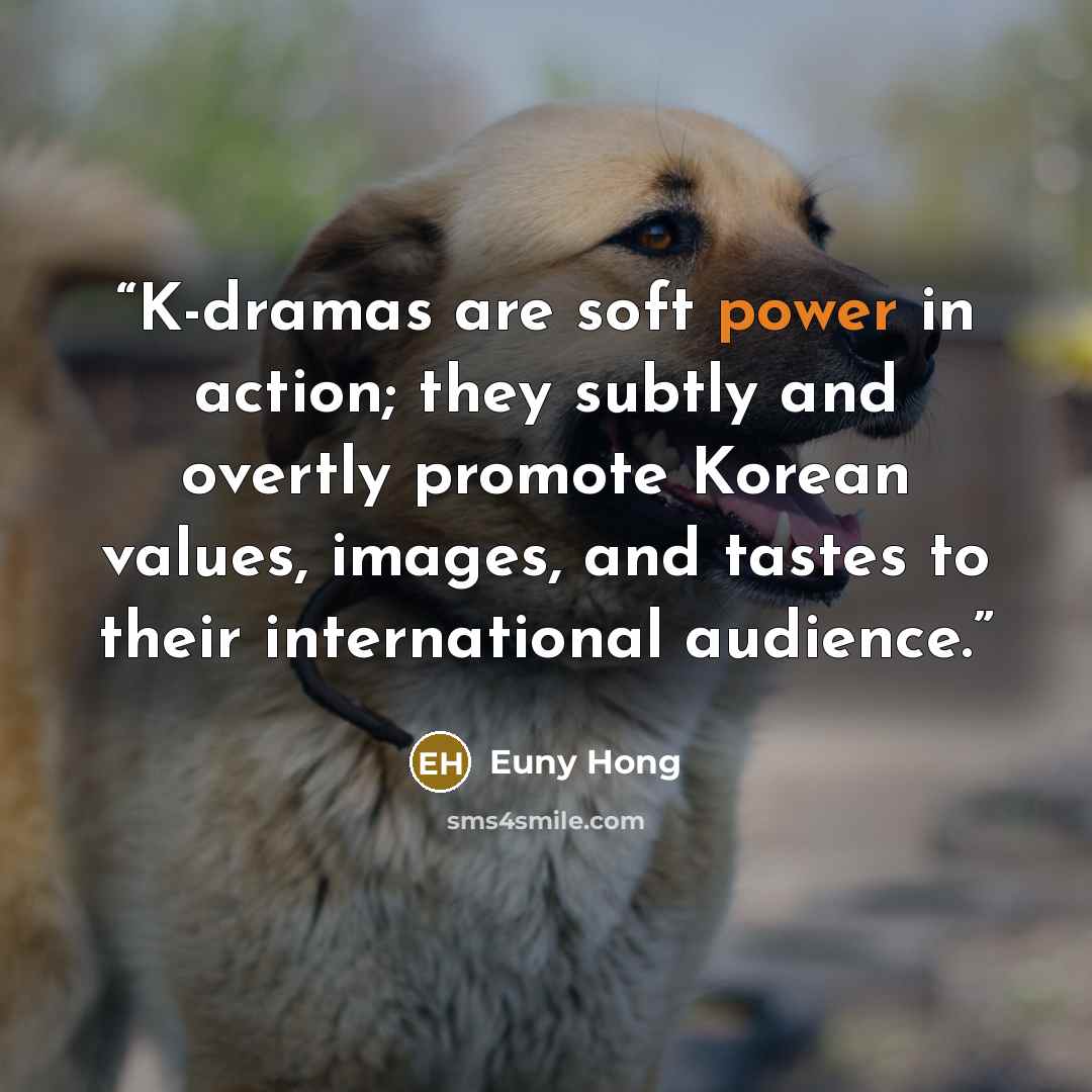 “K-dramas are soft power in action; they subtly and overtly promote Korean values, images, and tastes to their international audience.” quote by Euny Hong