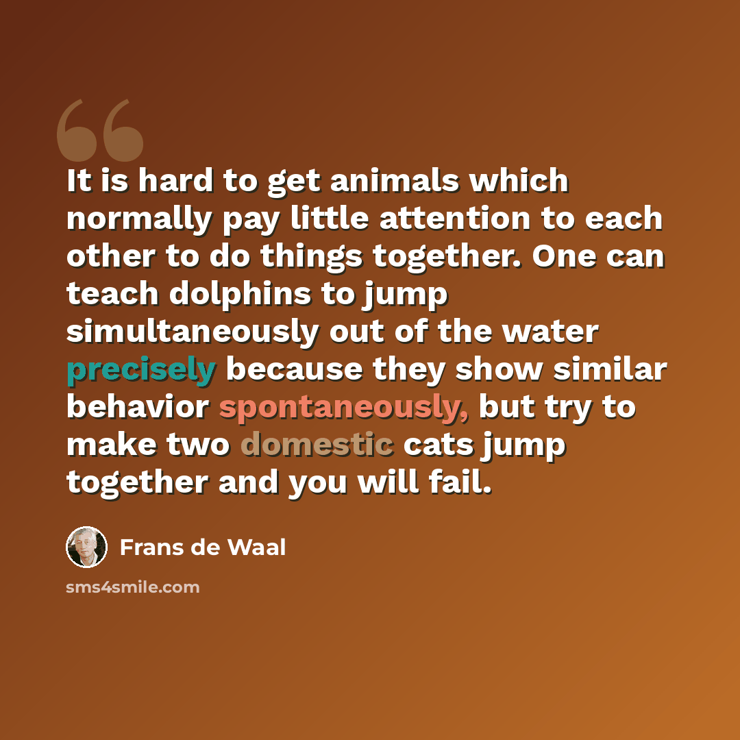 “It is hard to get animals which normally pay little attention to each other to do things together. One can teach dolphins to jump simultaneously out of the water precisely because they show similar behavior spontaneously, but try to make two domestic cats jump together and you will fail.” quote by Frans de Waal
