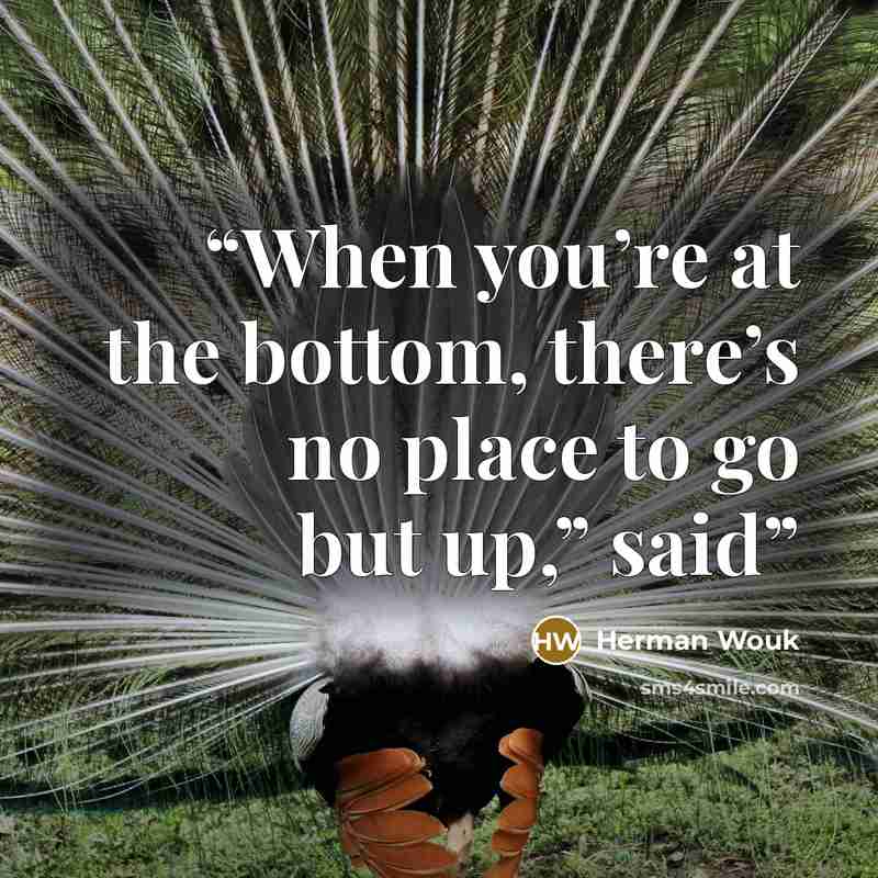 “When you’re at the bottom, there’s no place to go but up,” said” quote by Herman Wouk