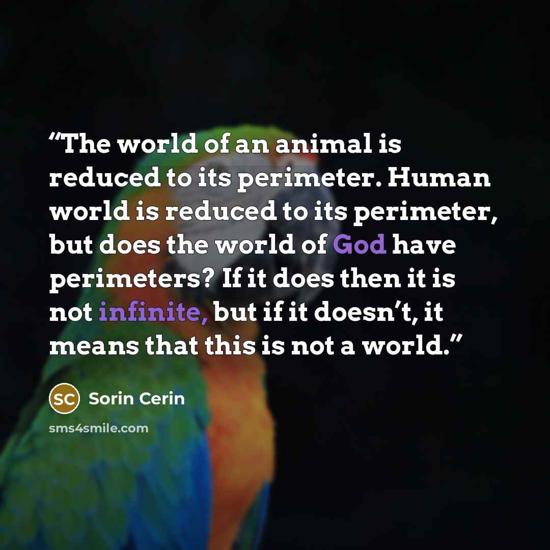 “The world of an animal is reduced to its perimeter. Human world is reduced to its perimeter, but does the world of God have perimeters? If it does then it is not infinite, but if it doesn’t, it means that this is not a world.” quote by Sorin Cerin