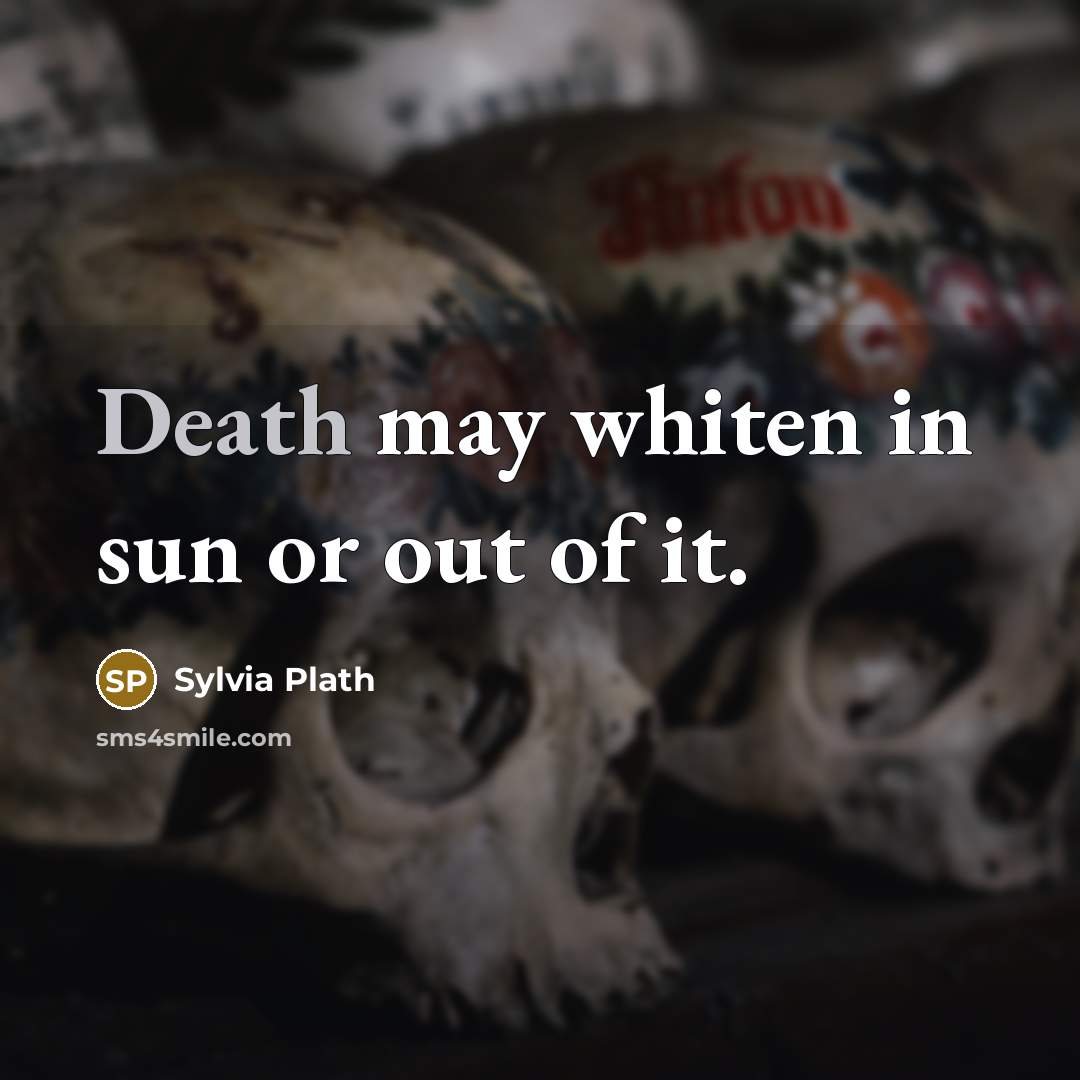 “Death may whiten in sun or out of it.” quote by Sylvia Plath