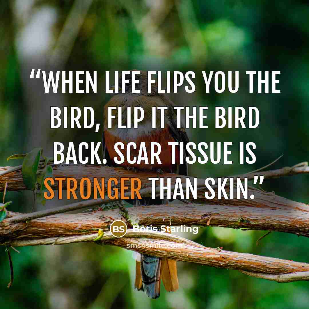 “When life flips you the bird, flip it the bird back. Scar tissue is stronger than skin.” quote by Boris Starling