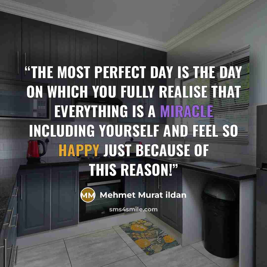 “The most perfect day is the day on which you fully realise that everything is a miracle including yourself and feel so happy just because of this reason!” quote by Mehmet Murat ildan