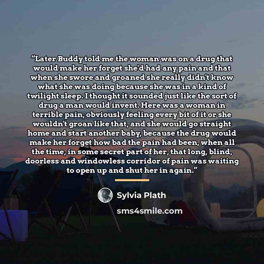 “Later Buddy told me the woman was on a drug that would make her forget she'd had any pain and that when she swore and groaned she really didn't know what she was doing because she was in a kind of twilight sleep. I thought it sounded just like the sort of drug a man would invent. Here was a woman…” quote by Sylvia Plath