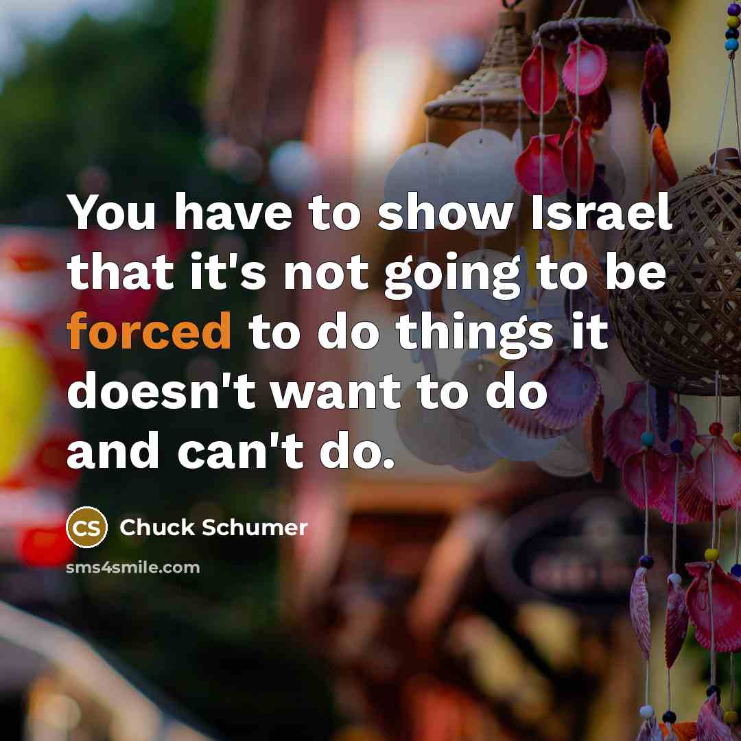 “You have to show Israel that it's not going to be forced to do things it doesn't want to do and can't do.” quote by Chuck Schumer