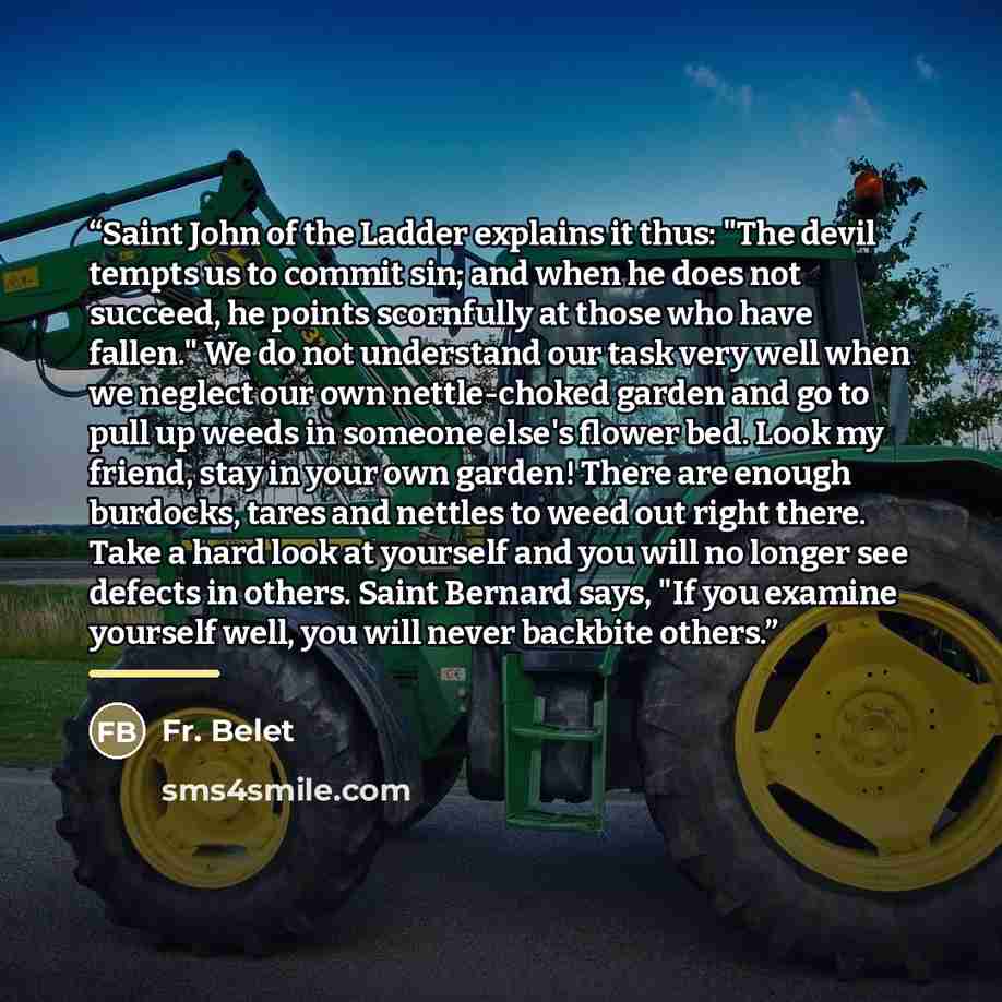 “Saint John of the Ladder explains it thus: "The devil tempts us to commit sin; and when he does not succeed, he points scornfully at those who have fallen." We do not understand our task very well when we neglect our own nettle-choked garden and go to pull up weeds in someone else's flower bed…” quote by Fr. Belet