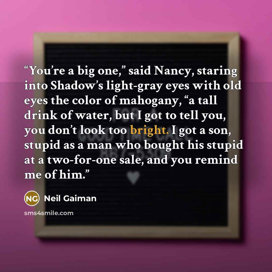 “You’re a big one,” said Nancy, staring into Shadow’s light-gray eyes with old eyes the color of mahogany, “a tall drink of water, but I got to tell you, you don’t look too bright. I got a son, stupid as a man who bought his stupid at a two-for-one sale, and you remind me of him.” quote by Neil Gaiman