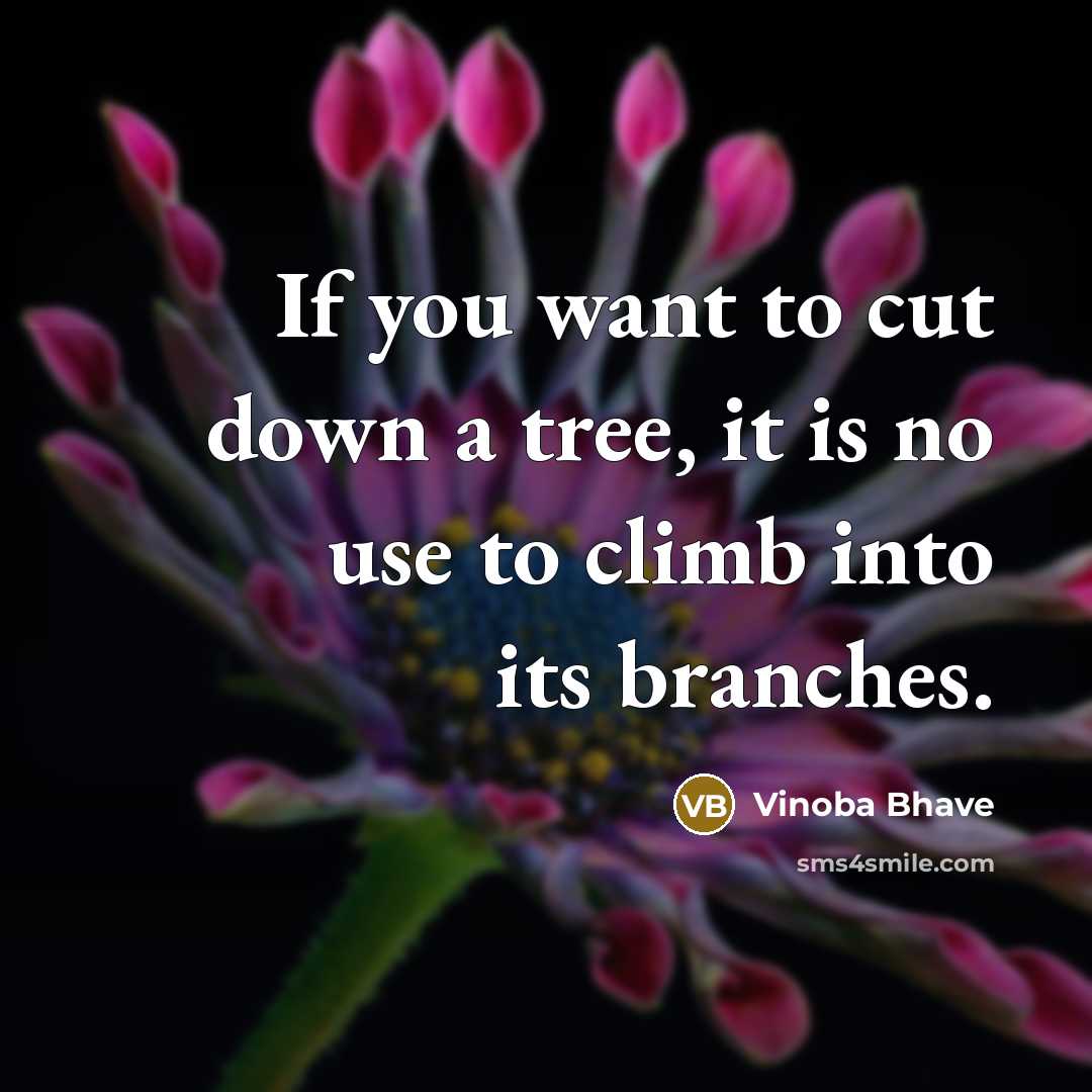 “If you want to cut down a tree, it is no use to climb into its branches.” quote by Vinoba Bhave