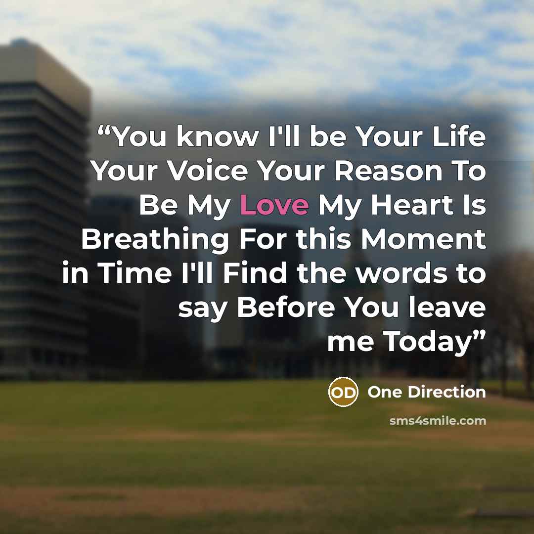 “You know I'll be Your Life Your Voice Your Reason To Be My Love My Heart Is Breathing For this Moment in Time I'll Find the words to say Before You leave me Today” quote by One Direction