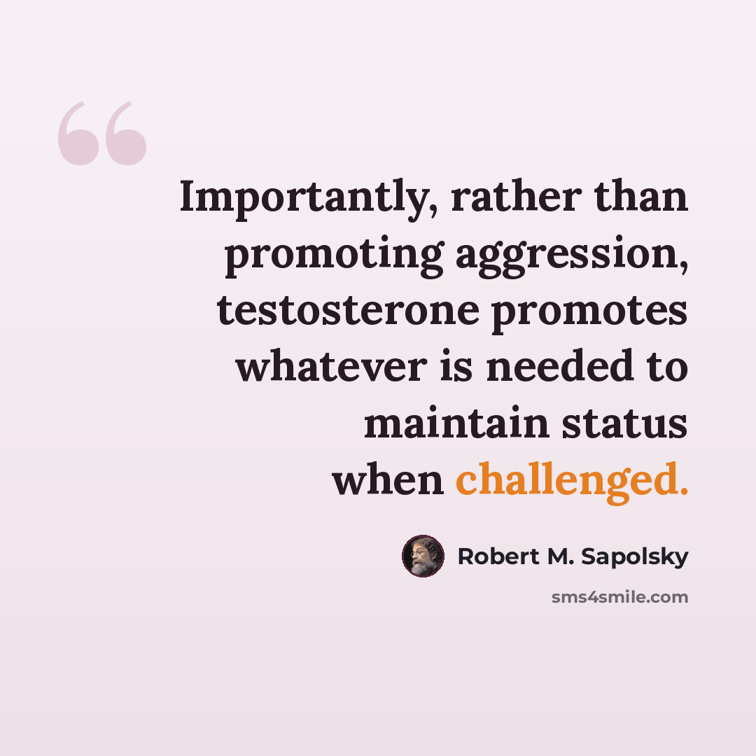 “Importantly, rather than promoting aggression, testosterone promotes whatever is needed to maintain status when challenged.” quote by Robert M. Sapolsky