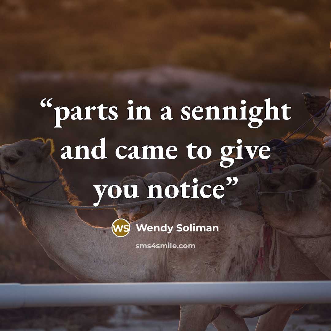 “parts in a sennight and came to give you notice” quote by Wendy Soliman