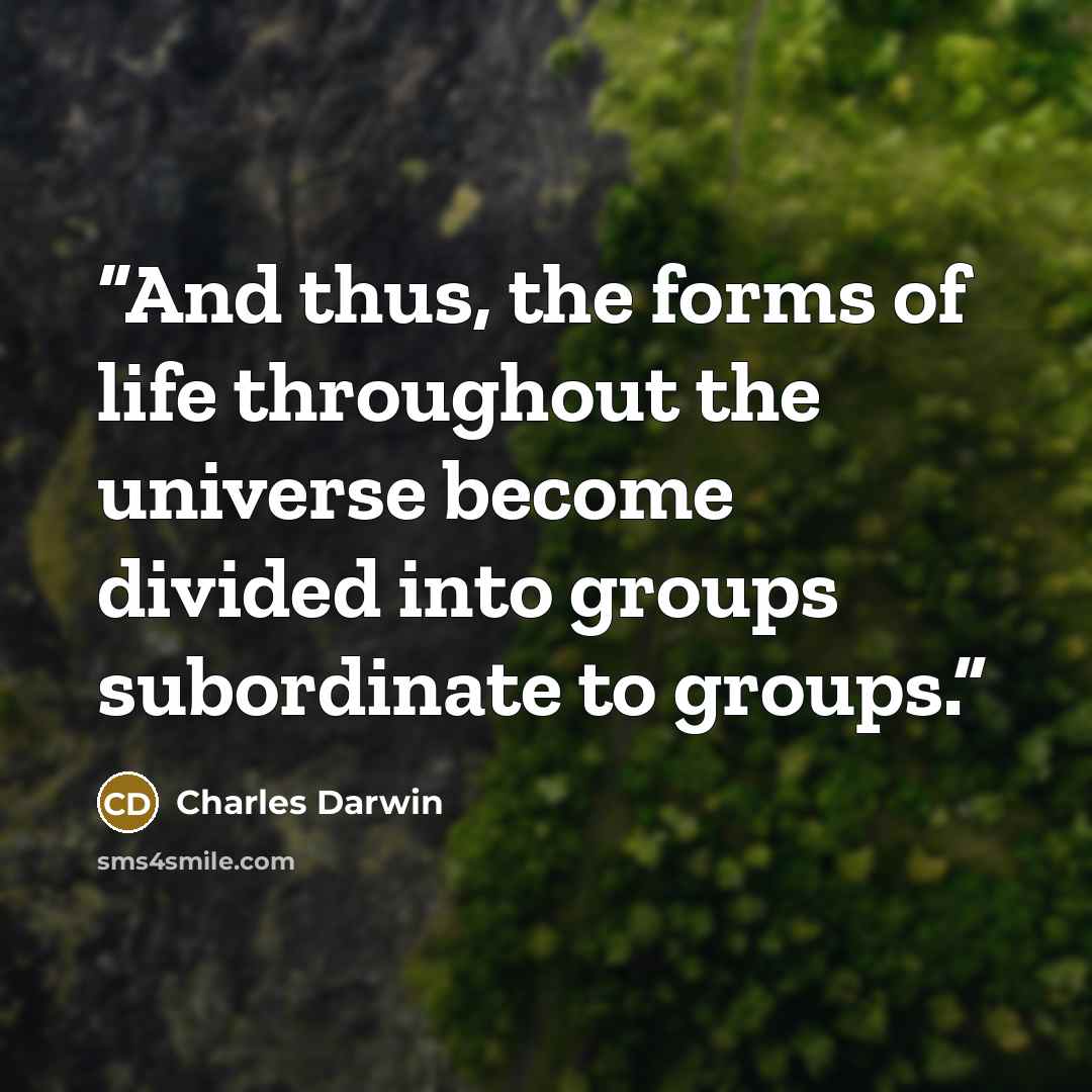 “And thus, the forms of life throughout the universe become divided into groups subordinate to groups.” quote by Charles Darwin