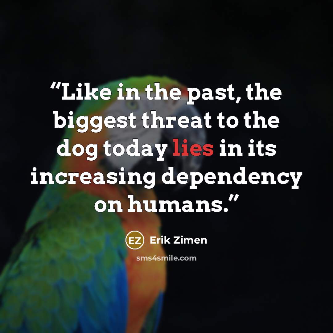 “Like in the past, the biggest threat to the dog today lies in its increasing dependency on humans.” quote by Erik Zimen