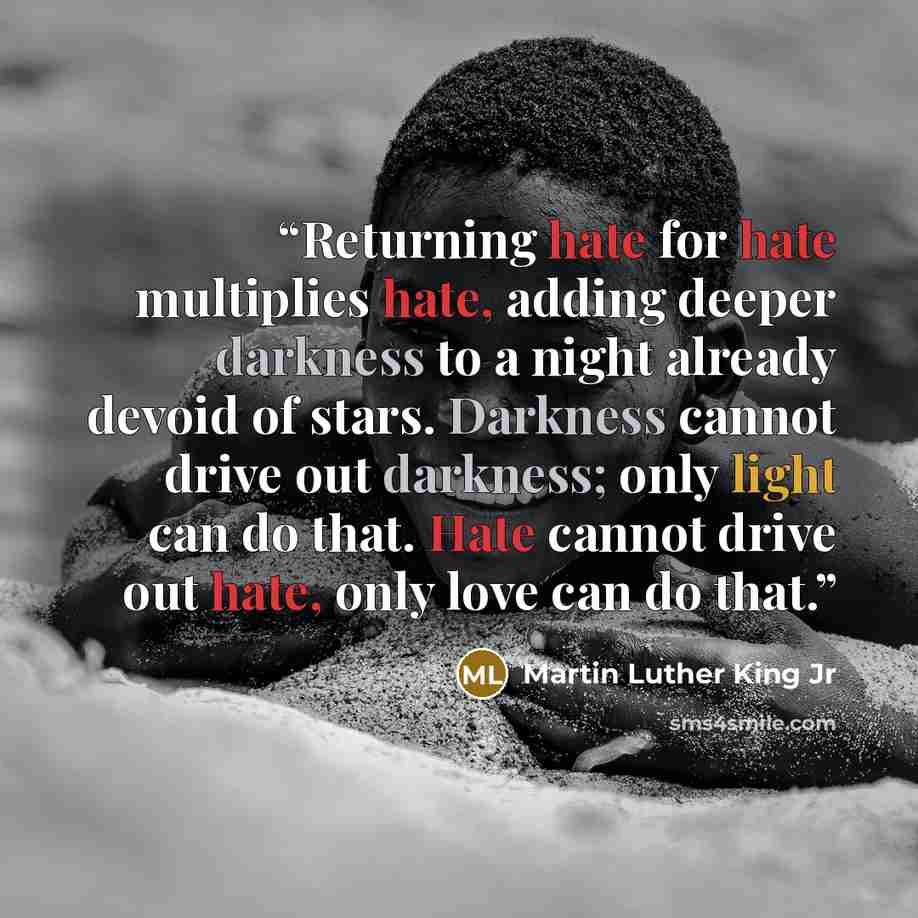 “Returning hate for hate multiplies hate, adding deeper darkness to a night already devoid of stars. Darkness cannot drive out darkness; only light can do that. Hate cannot drive out hate, only love can do that.” quote by Martin Luther King Jr