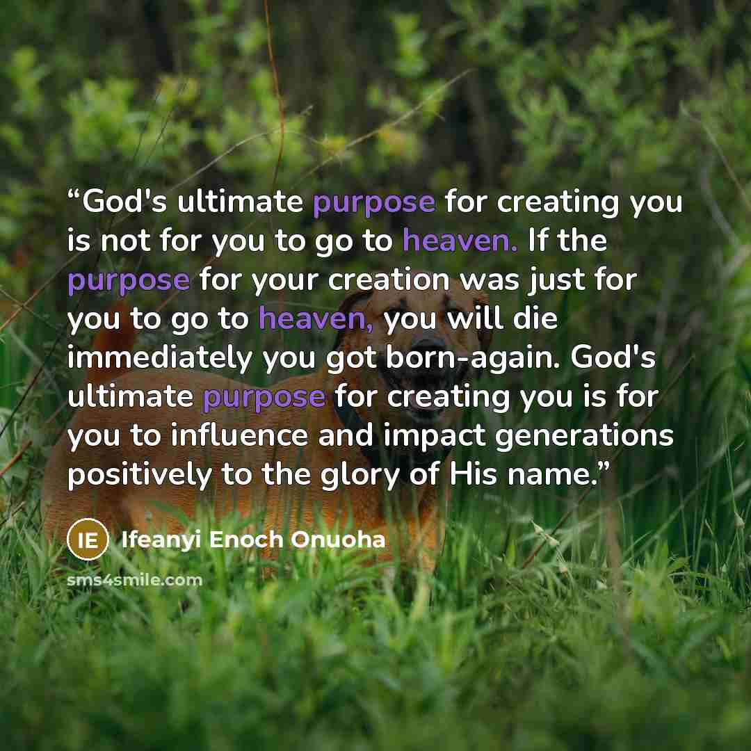 “God's ultimate purpose for creating you is not for you to go to heaven. If the purpose for your creation was just for you to go to heaven, you will die immediately you got born-again. God's ultimate purpose for creating you is for you to influence and impact generations positively to the glory of…” quote by Ifeanyi Enoch Onuoha