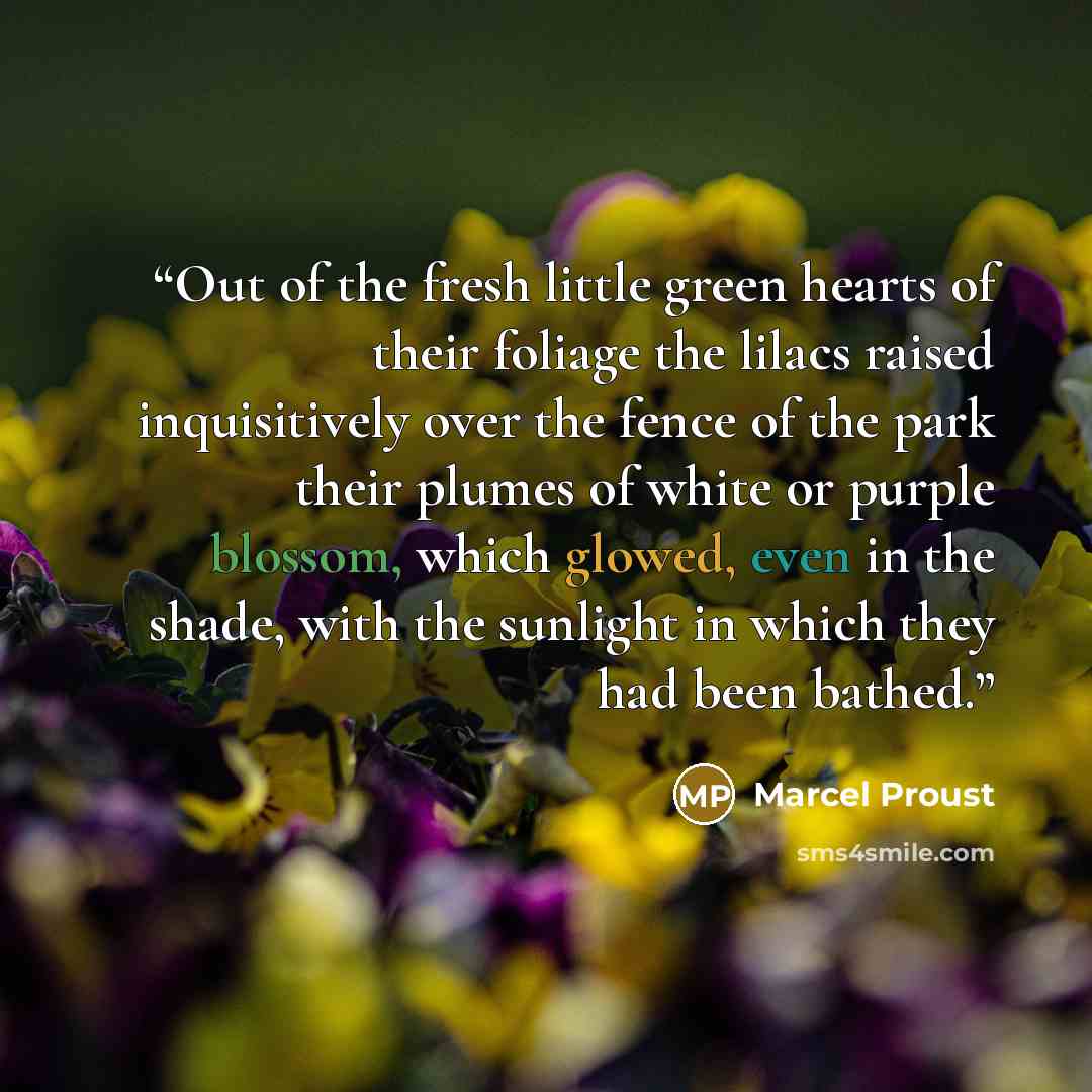 “Out of the fresh little green hearts of their foliage the lilacs raised inquisitively over the fence of the park their plumes of white or purple blossom, which glowed, even in the shade, with the sunlight in which they had been bathed.” quote by Marcel Proust
