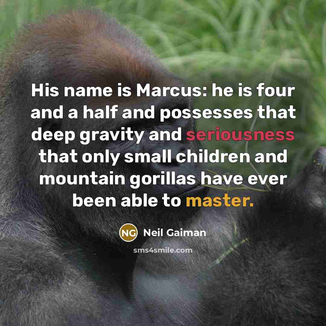 “His name is Marcus: he is four and a half and possesses that deep gravity and seriousness that only small children and mountain gorillas have ever been able to master.” quote by Neil Gaiman