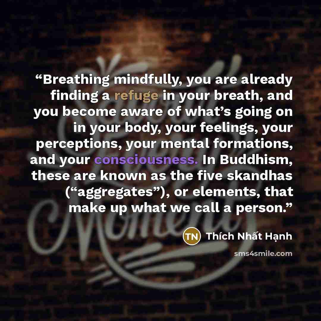 “Breathing mindfully, you are already finding a refuge in your breath, and you become aware of what’s going on in your body, your feelings, your perceptions, your mental formations, and your consciousness. In Buddhism, these are known as the five skandhas (“aggregates”), or elements, that make up…” quote by Thich Nhat Hanh