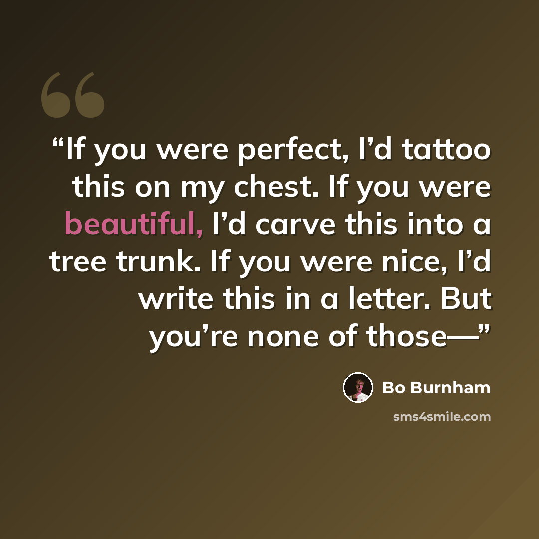 “If you were perfect, I’d tattoo this on my chest. If you were beautiful, I’d carve this into a tree trunk. If you were nice, I’d write this in a letter. But you’re none of those—” quote by Bo Burnham