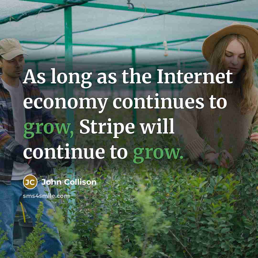 “As long as the Internet economy continues to grow, Stripe will continue to grow.” quote by John Collison
