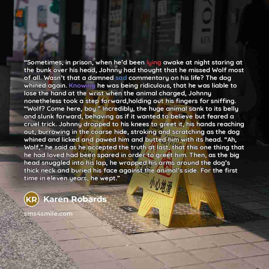 “Sometimes, in prison, when he’d been lying awake at night staring at the bunk over his head, Johnny had thought that he missed Wolf most of all. Wasn’t that a damned sad commentary on his life? The dog whined again. Knowing he was being ridiculous, that he was liable to lose the hand at the wrist…” quote by Karen Robards