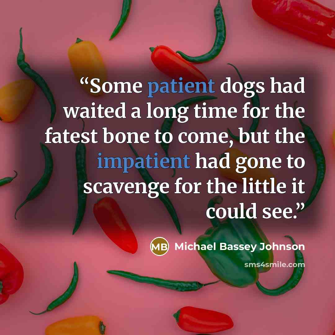 “Some patient dogs had waited a long time for the fatest bone to come, but the impatient had gone to scavenge for the little it could see.” quote by Michael Bassey Johnson