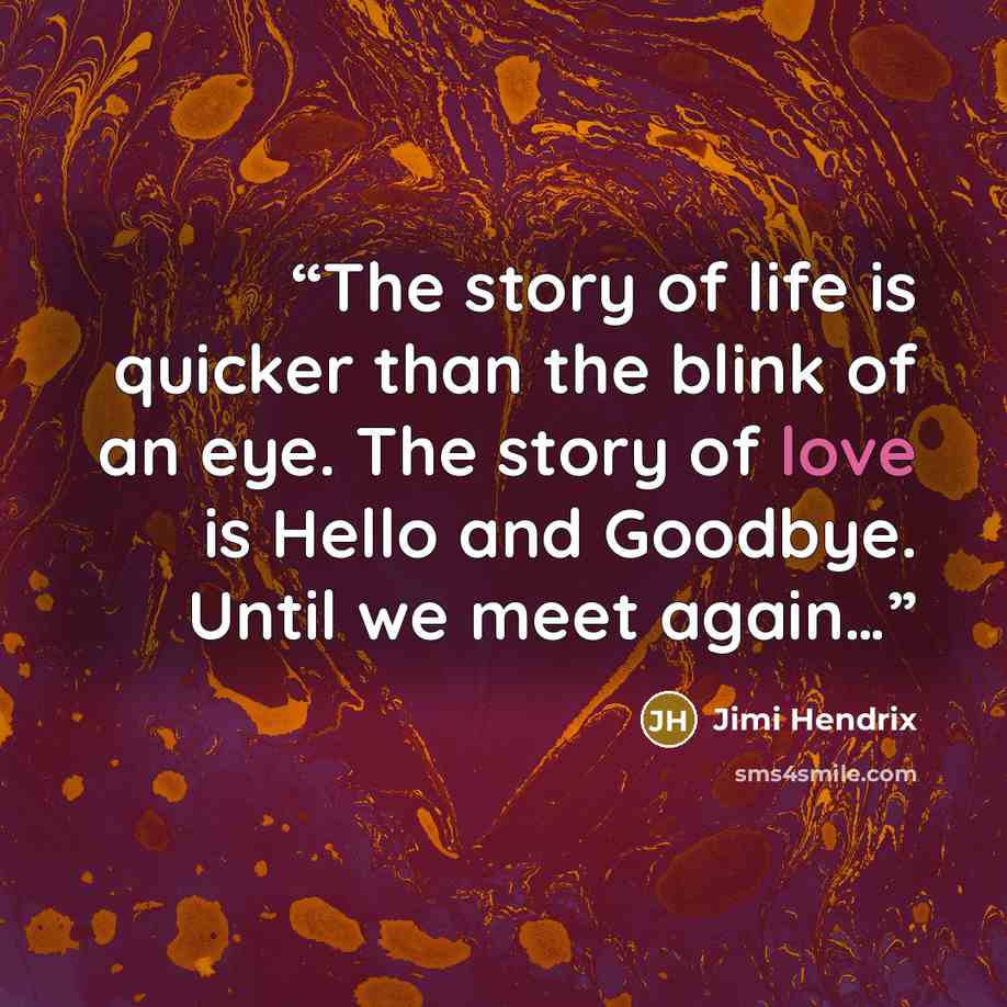 “The story of life is quicker than the blink of an eye. The story of love is Hello and Goodbye. Until we meet again…” quote by Jimi Hendrix