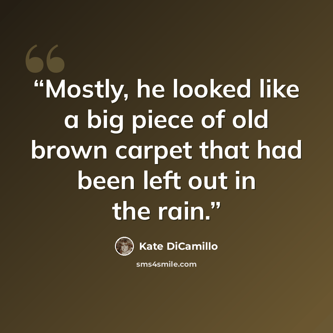 “Mostly, he looked like a big piece of old brown carpet that had been left out in the rain.” quote by Kate DiCamillo
