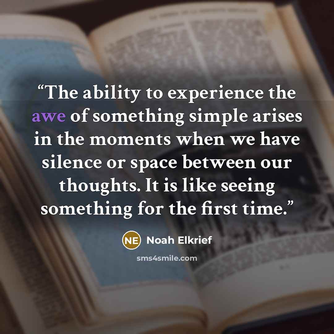 “The ability to experience the awe of something simple arises in the moments when we have silence or space between our thoughts. It is like seeing something for the first time.” quote by Noah Elkrief